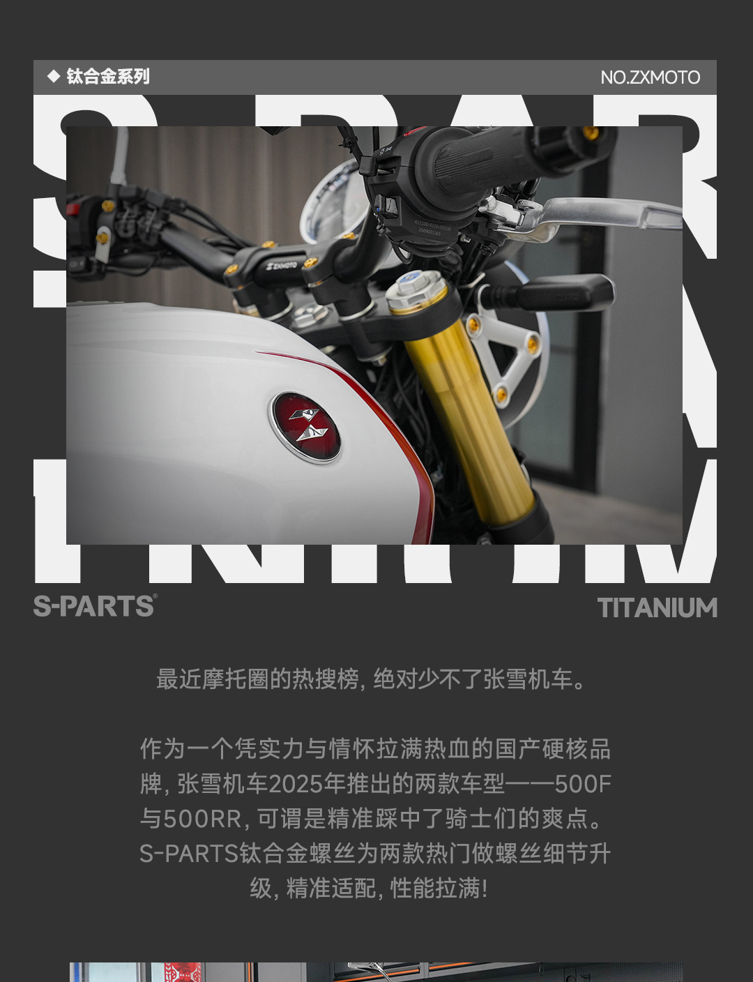 版式1_02.jpg