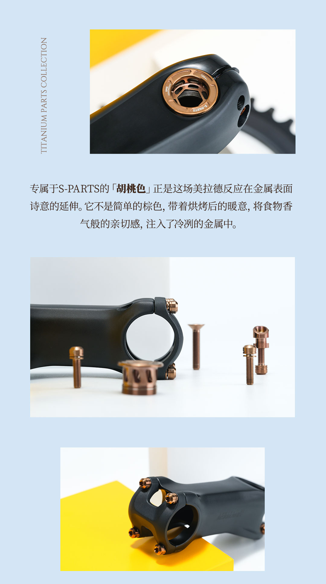 版式2_02.jpg