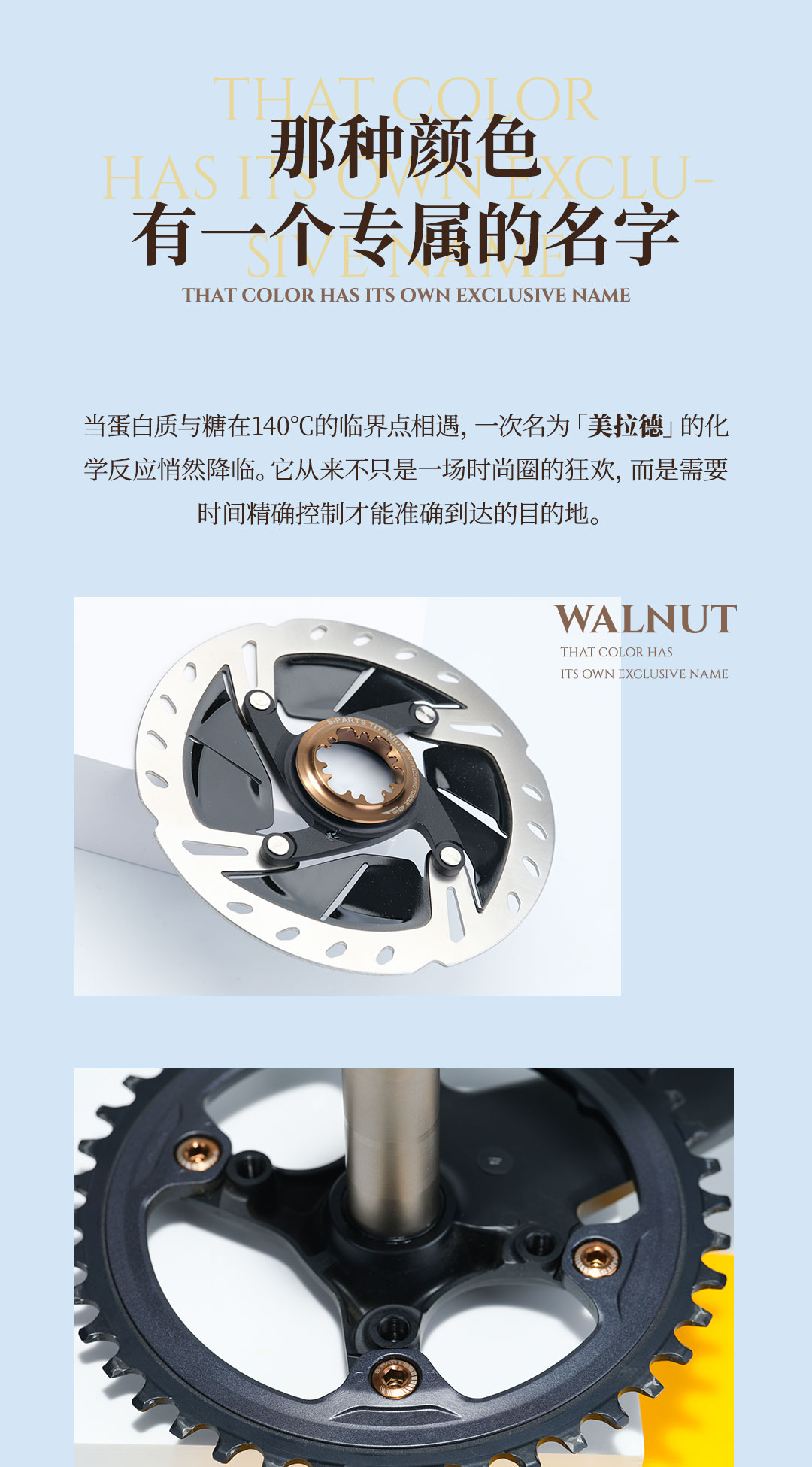 版式2_01.jpg