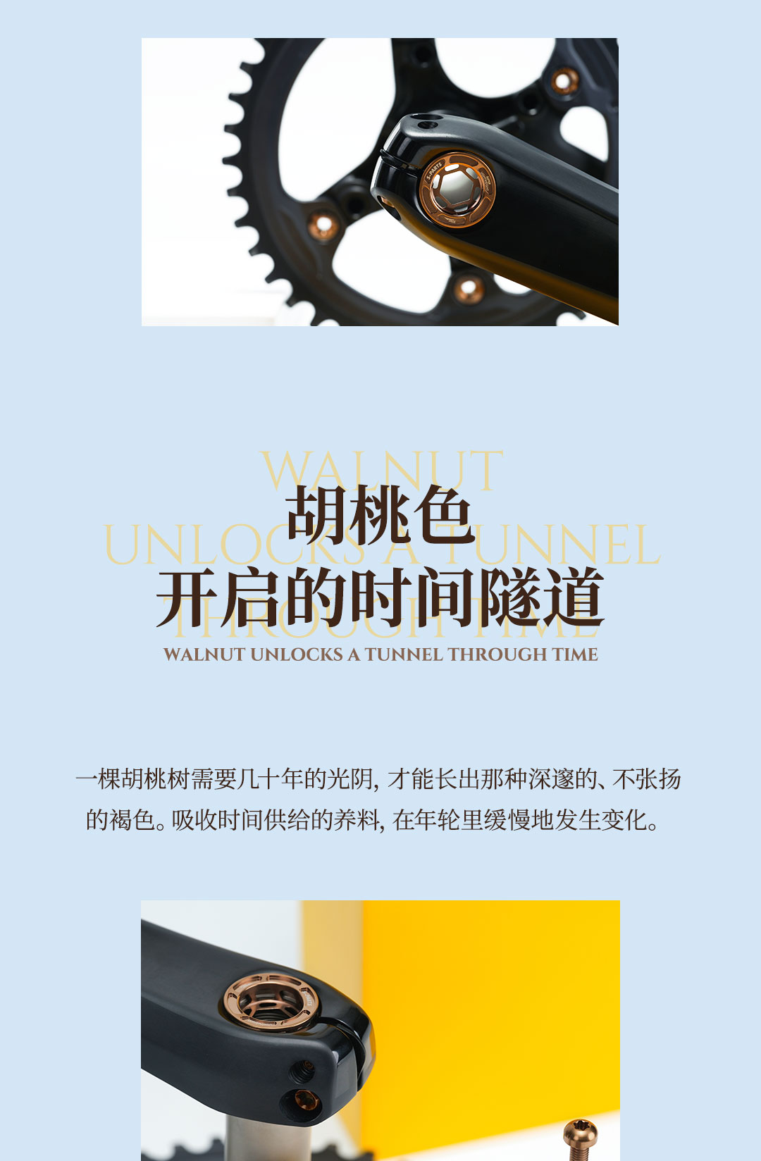 版式2_03.jpg