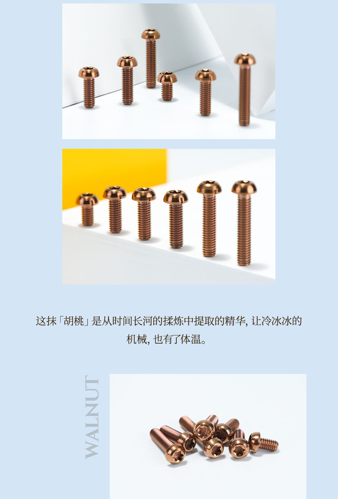 版式4_01.jpg