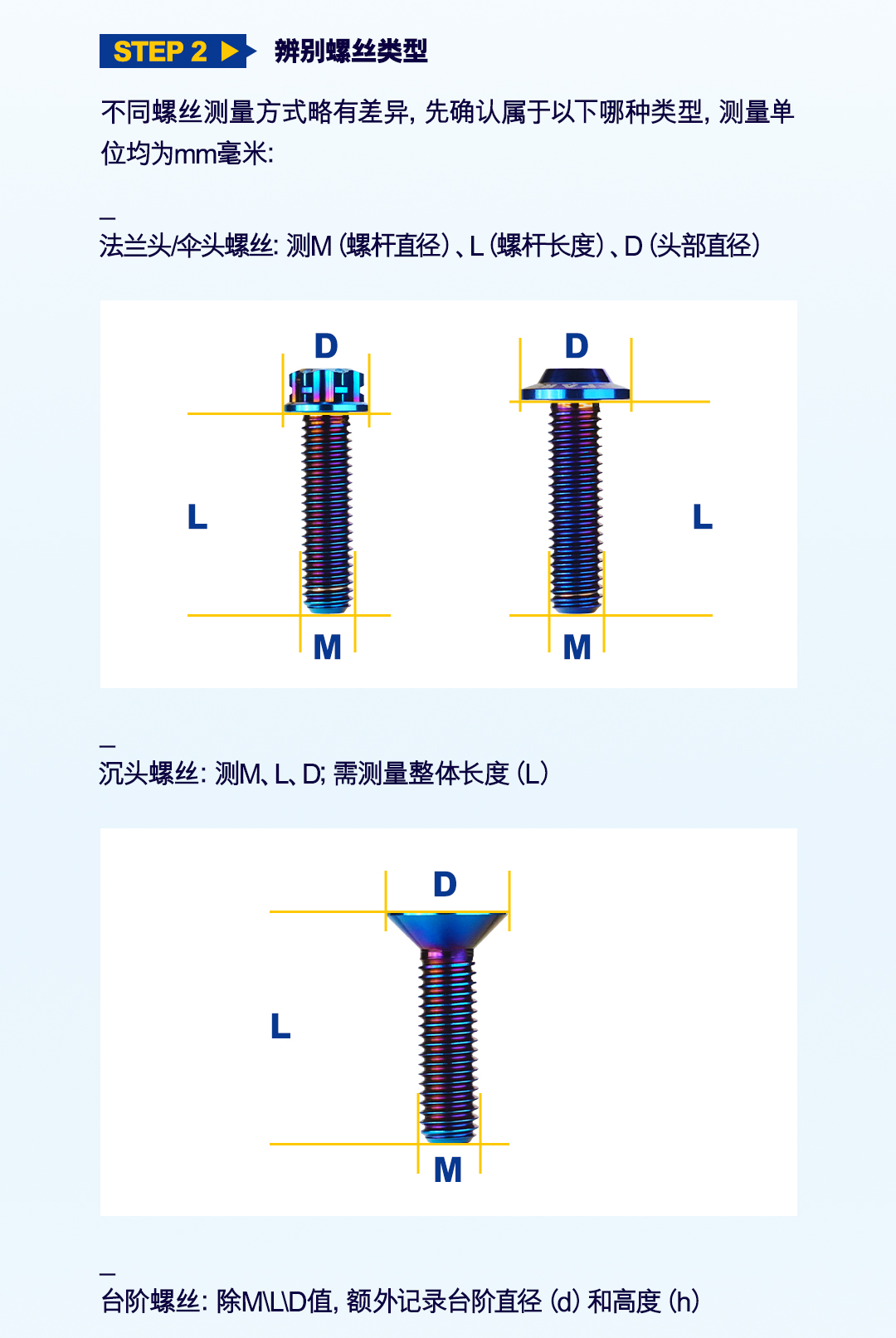 版式2_02.jpg