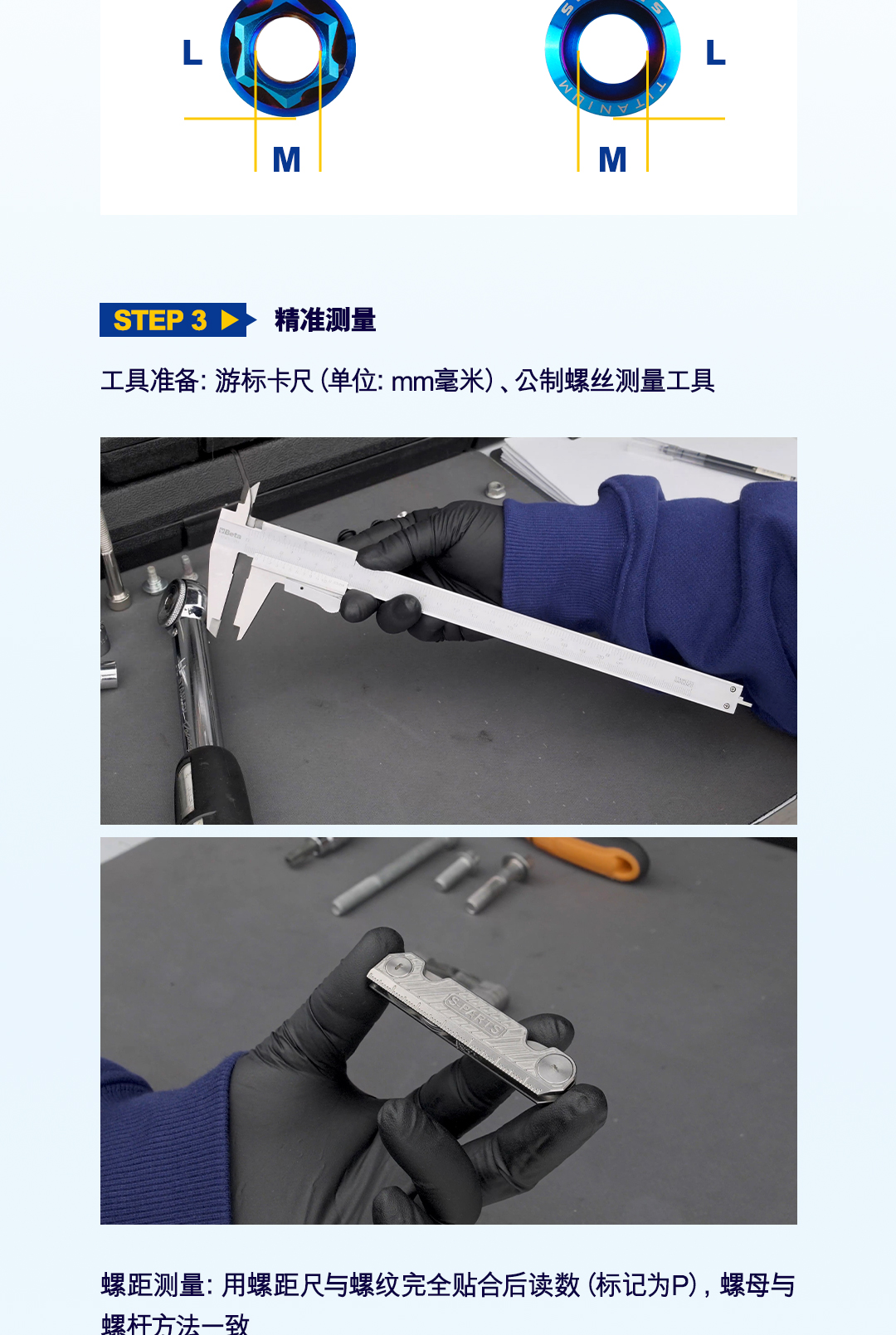 版式2_04.jpg