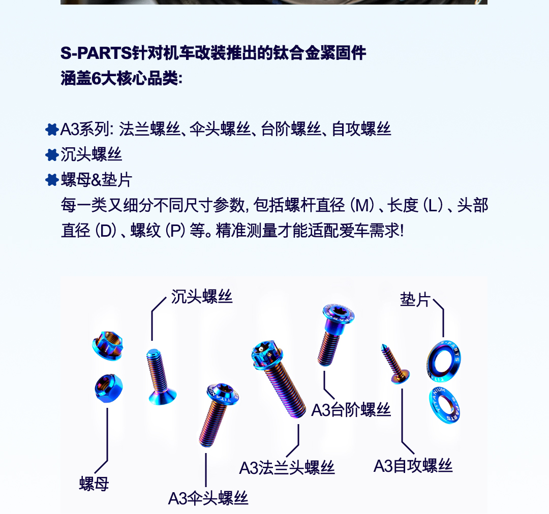 版式1_05.jpg