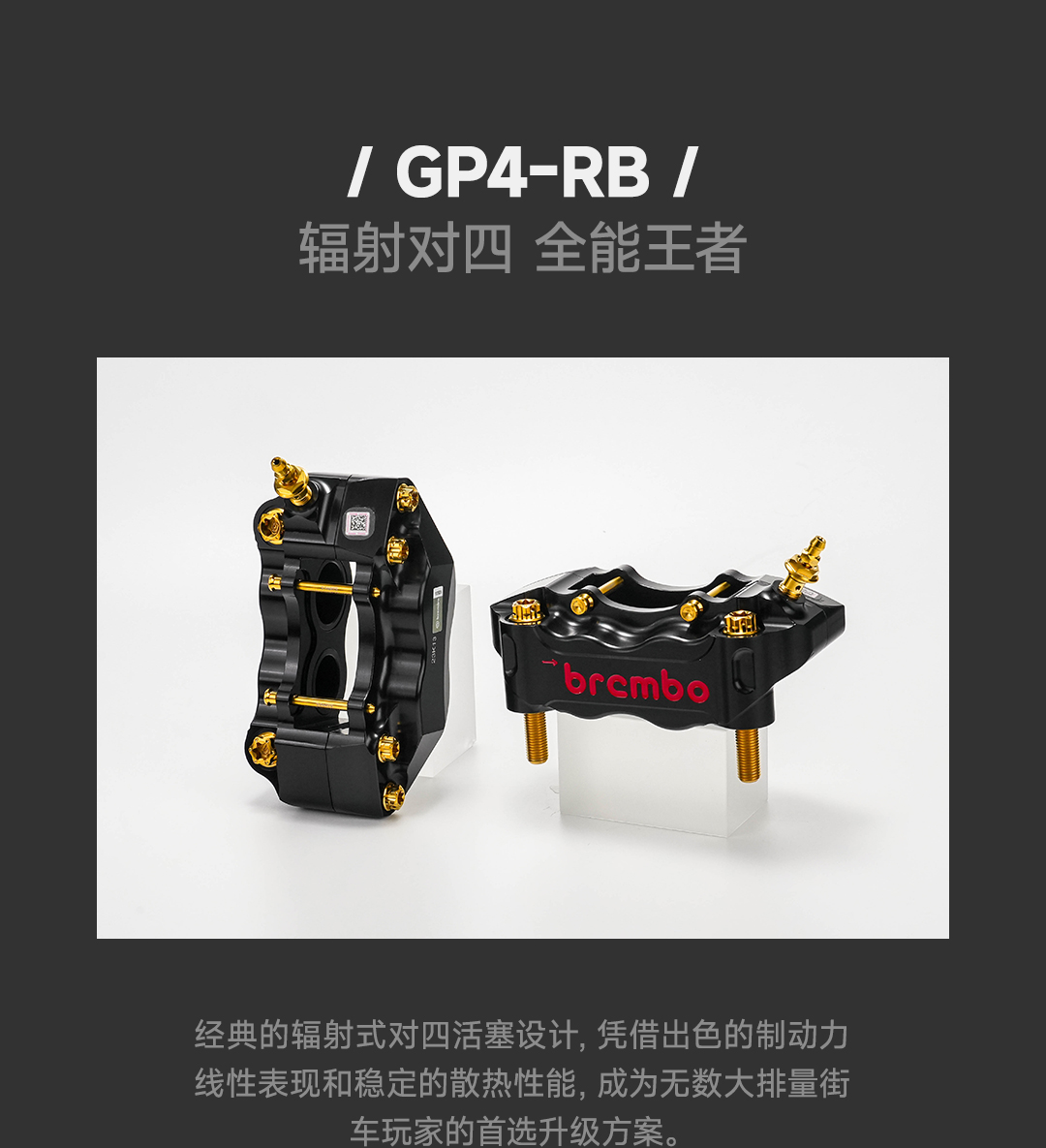 版式1_04.jpg