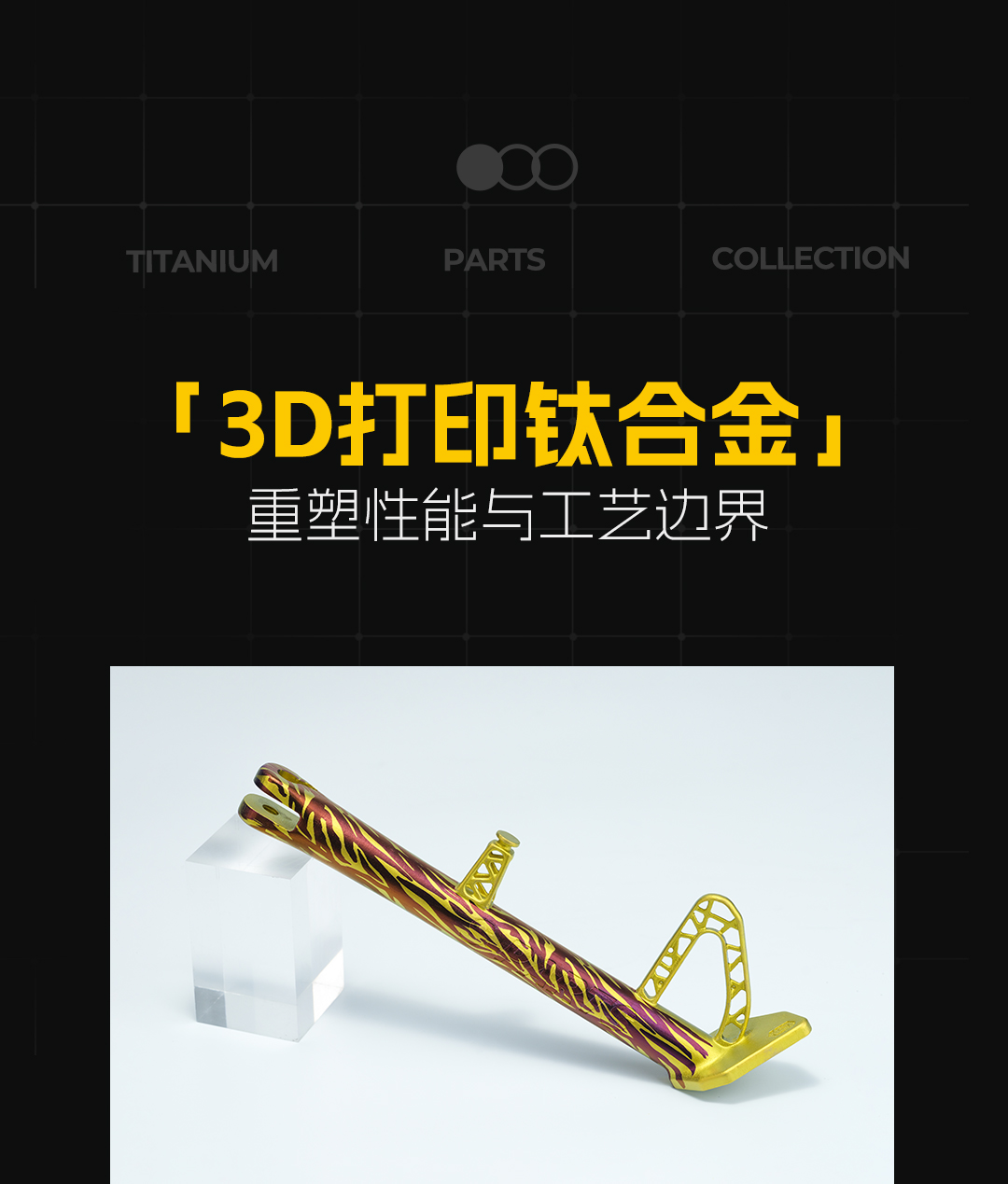 版式2_01.jpg