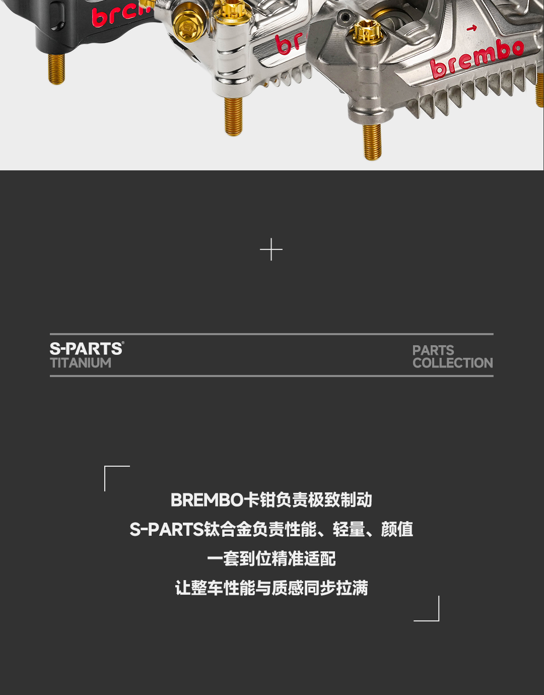 版式4_04.jpg
