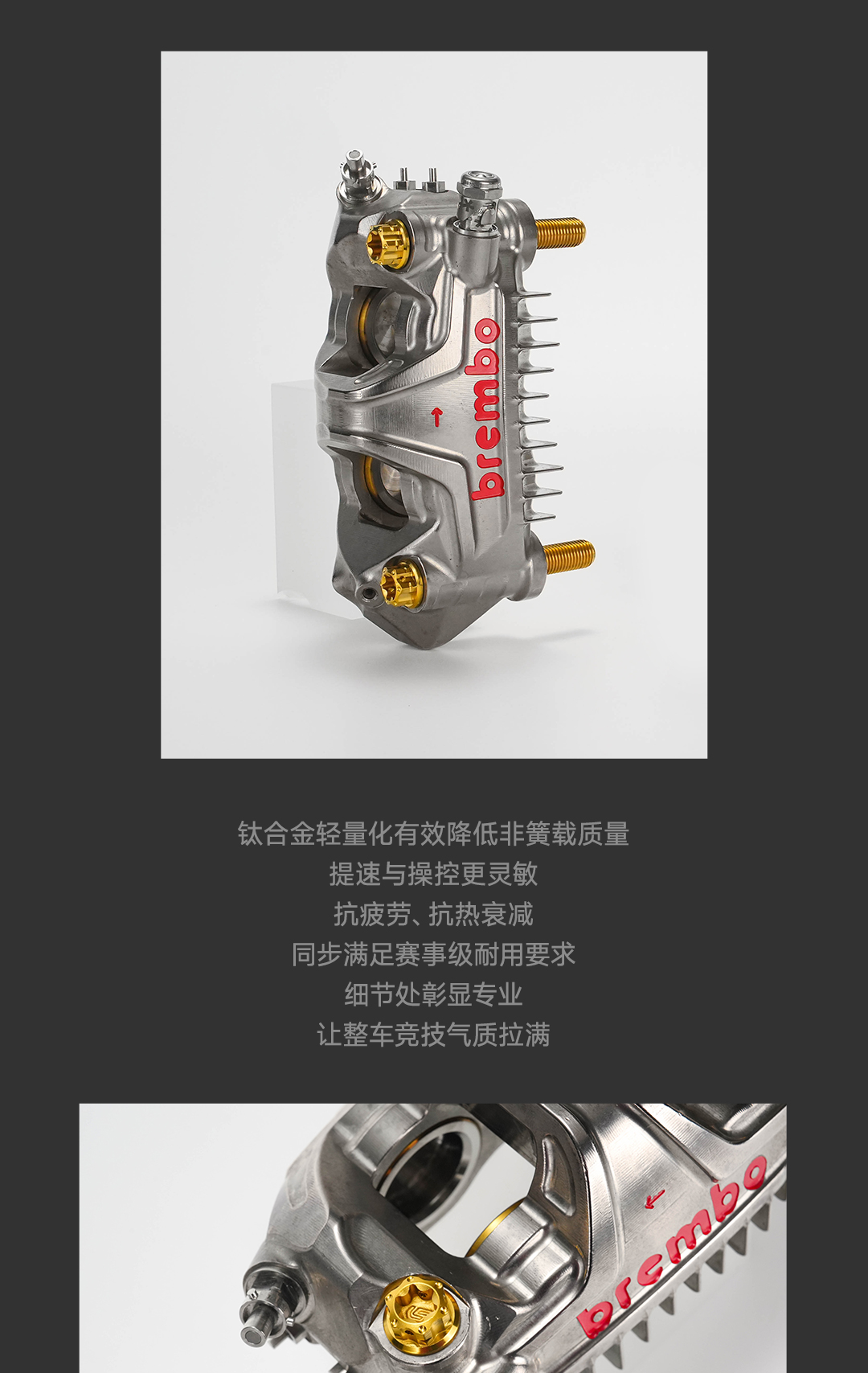 版式4_02.jpg