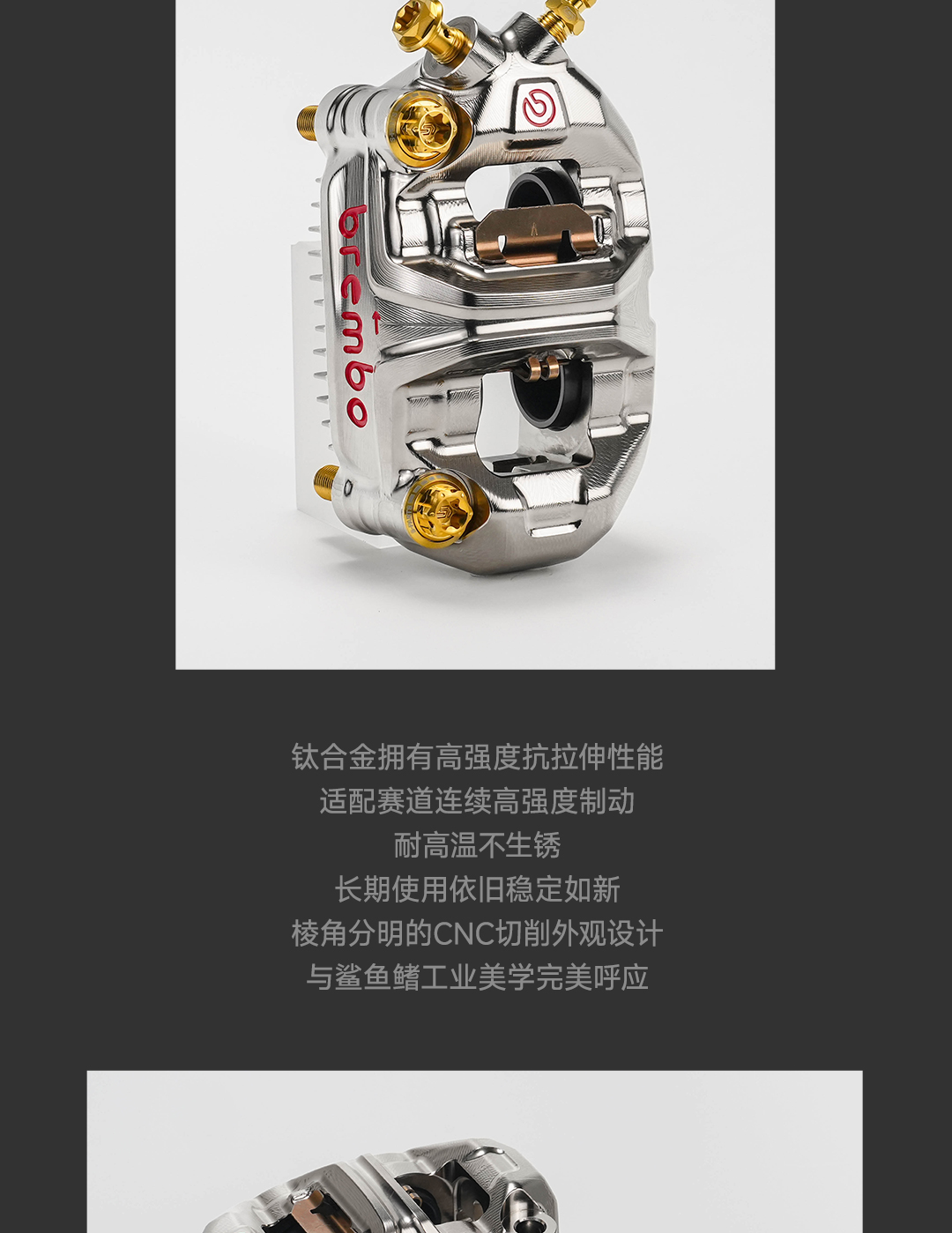版式3_02.jpg