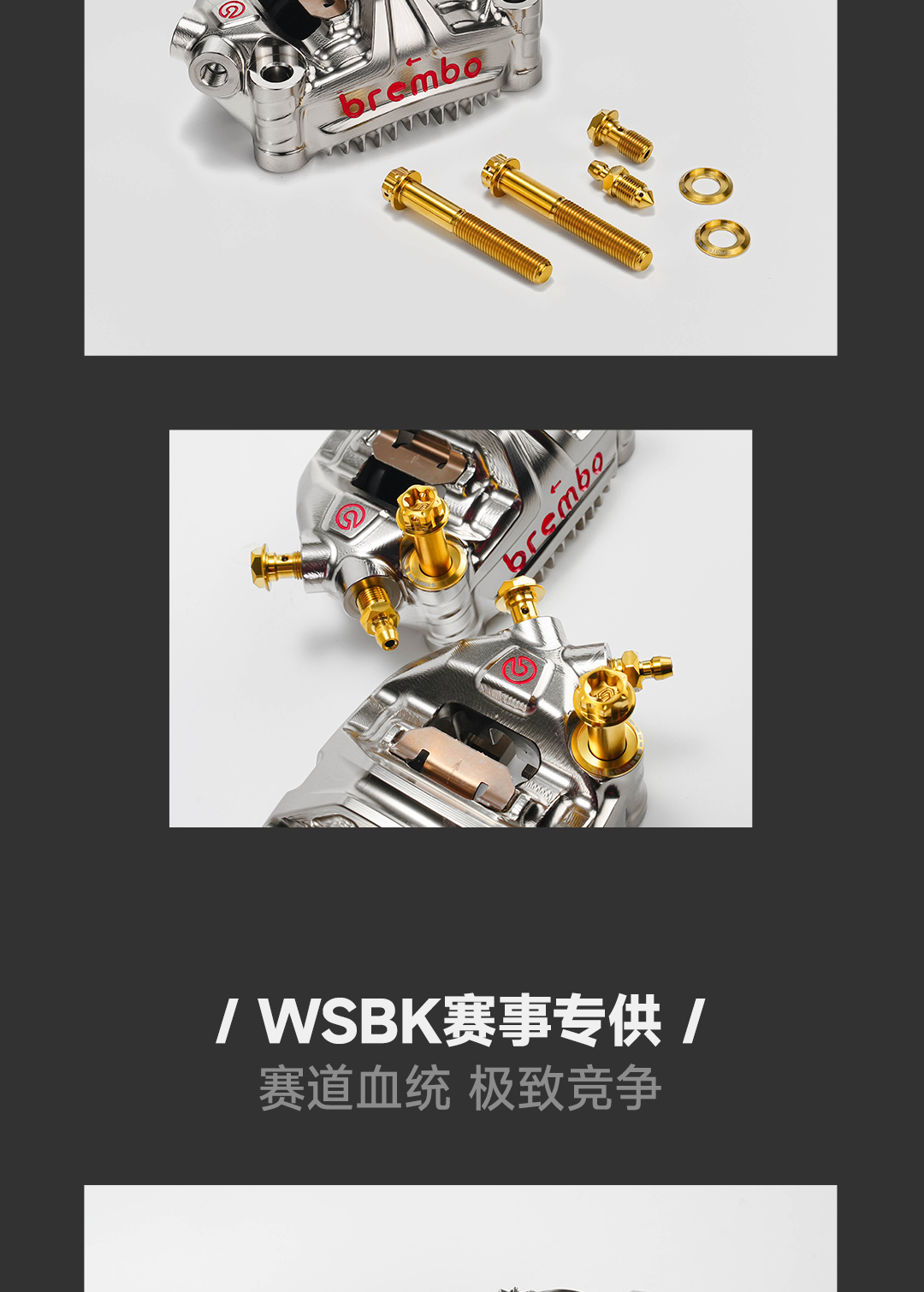 版式3_03.jpg
