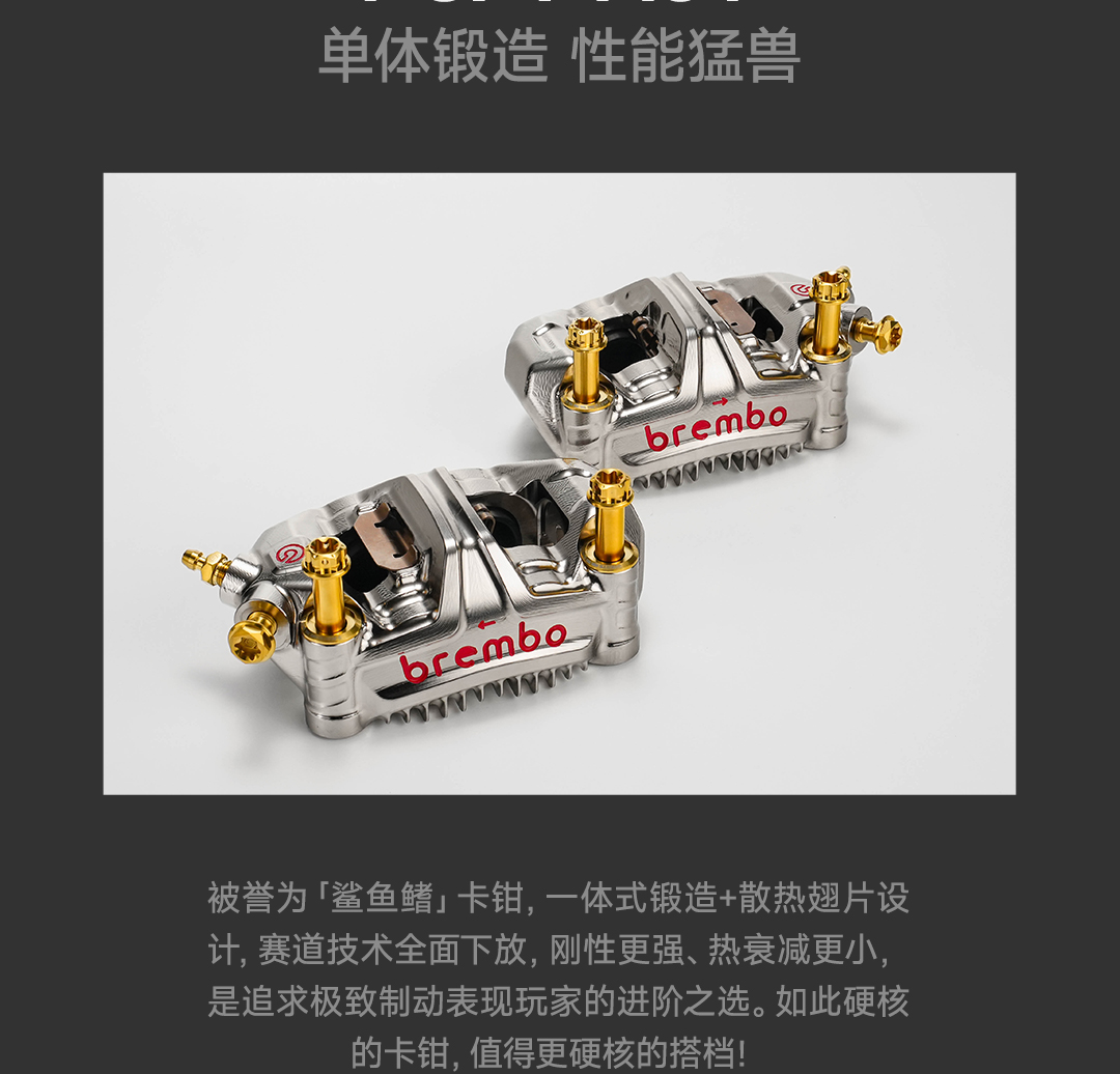 版式2_05.jpg