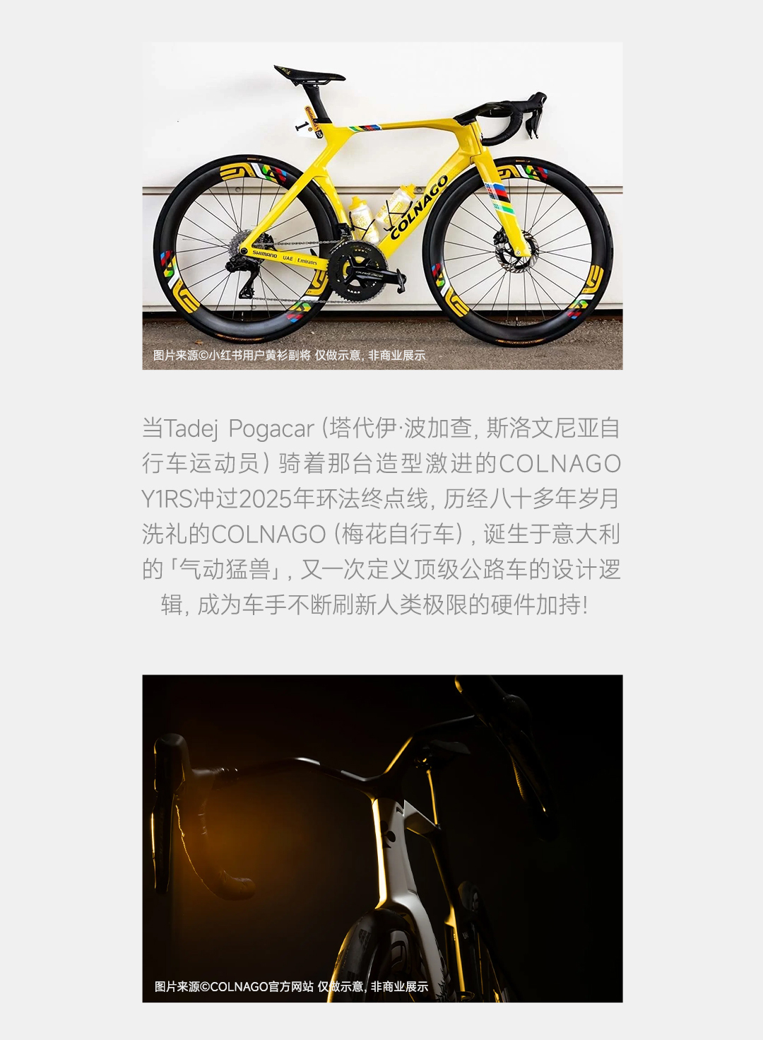 版式1_02.jpg