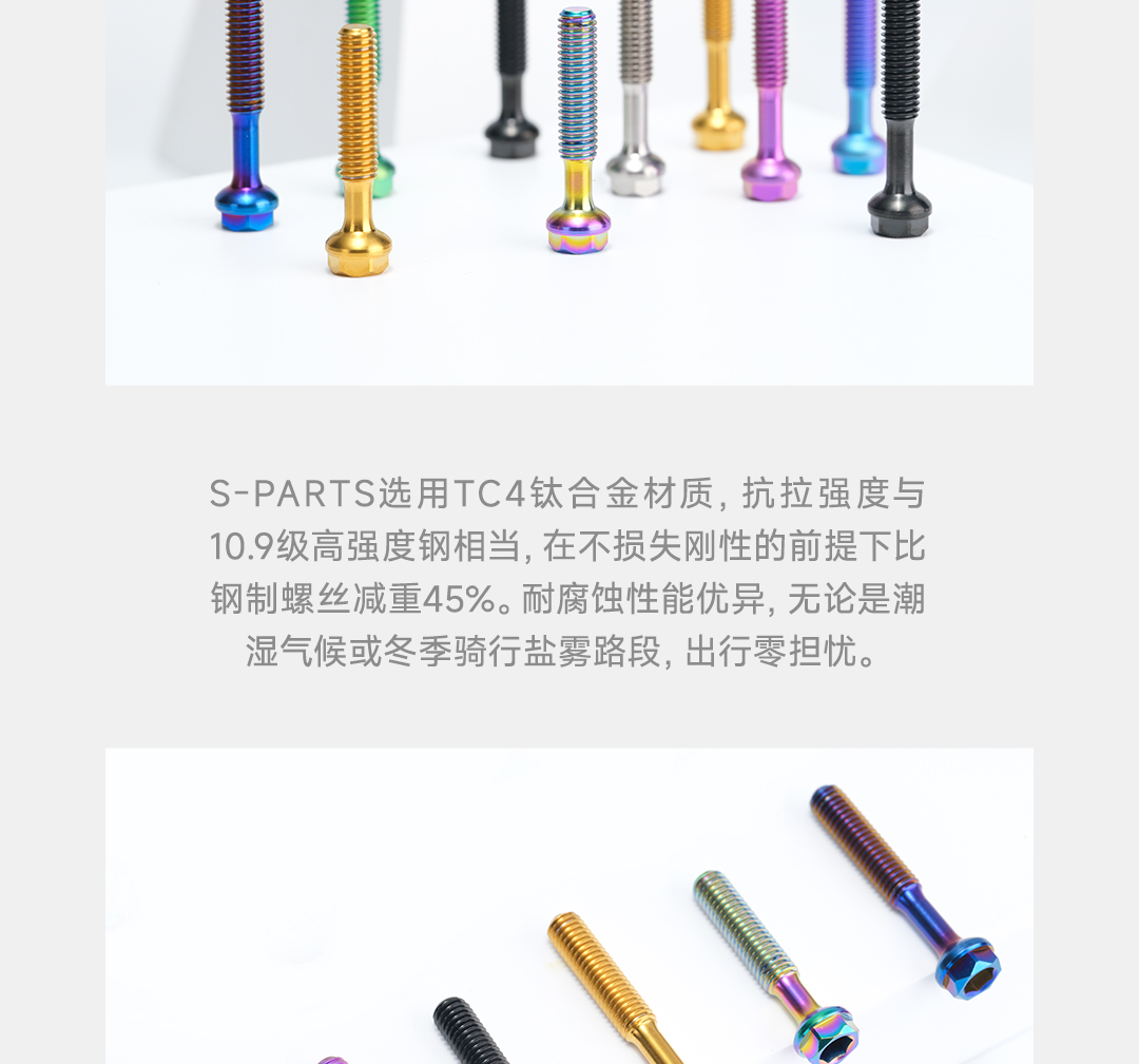版式2_03.jpg