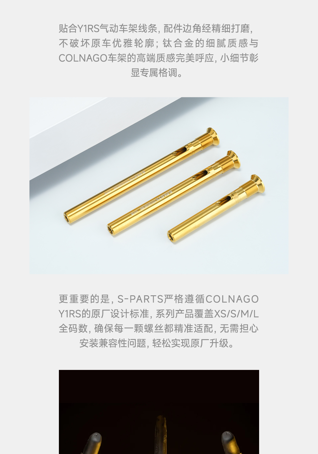 版式2_01.jpg