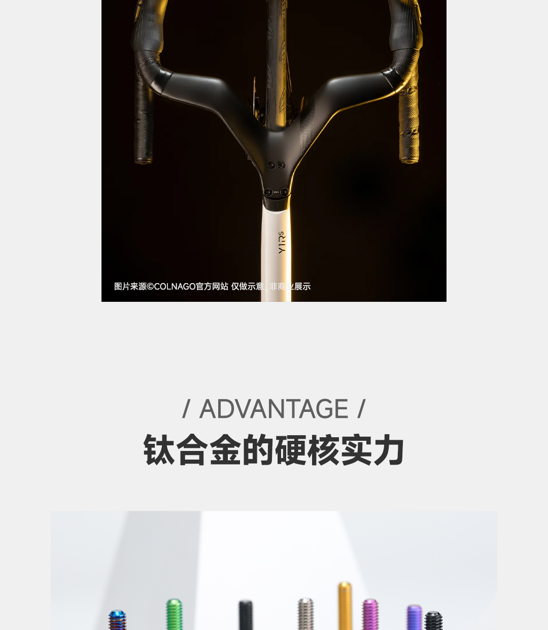 版式2_02.jpg