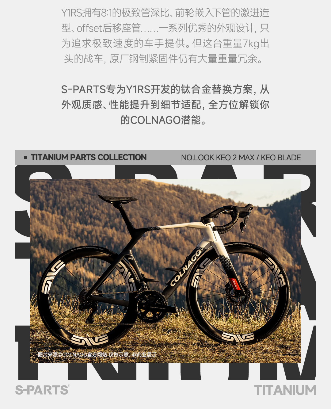 版式1_03.jpg