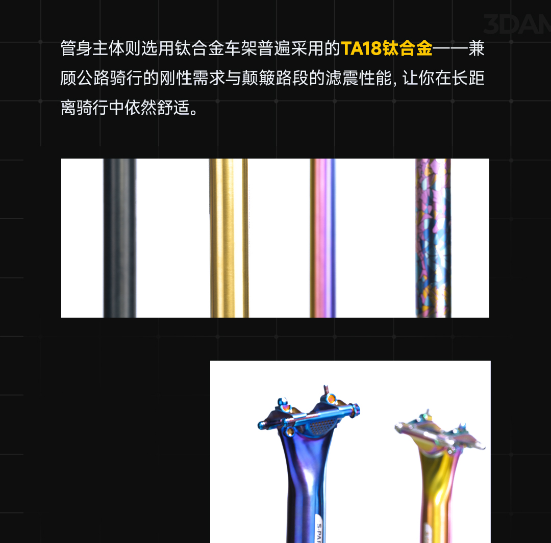 版式2_01.jpg