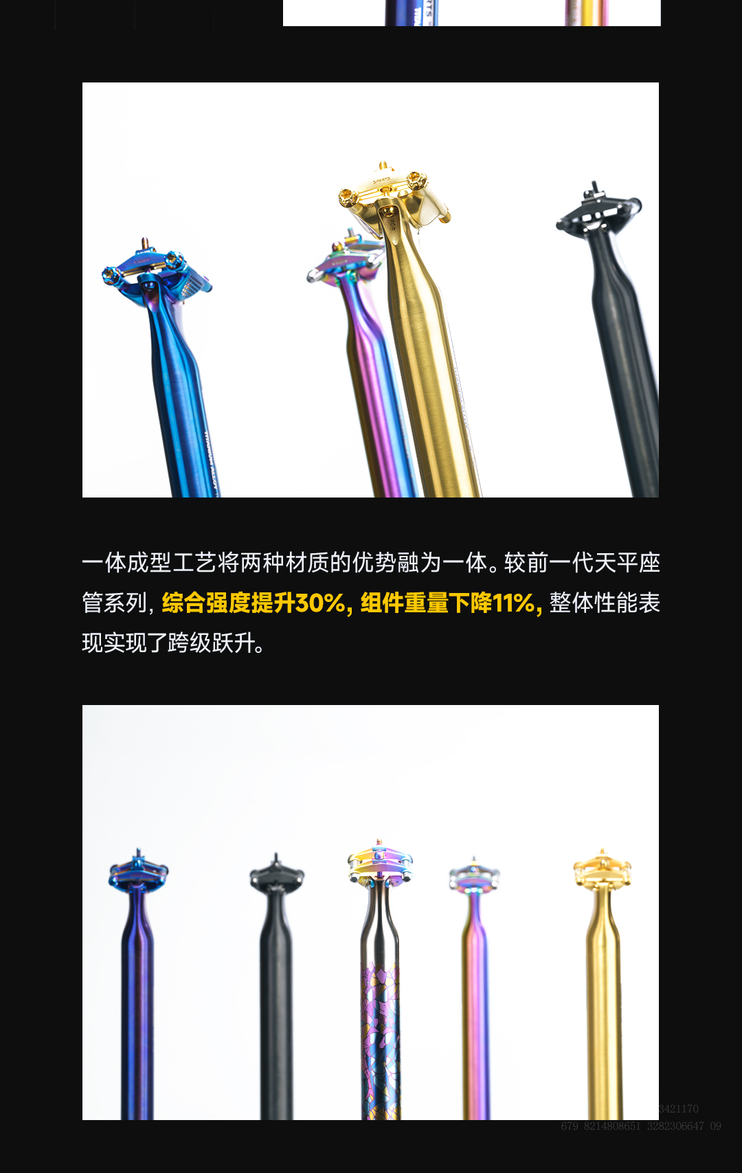 版式2_02.jpg