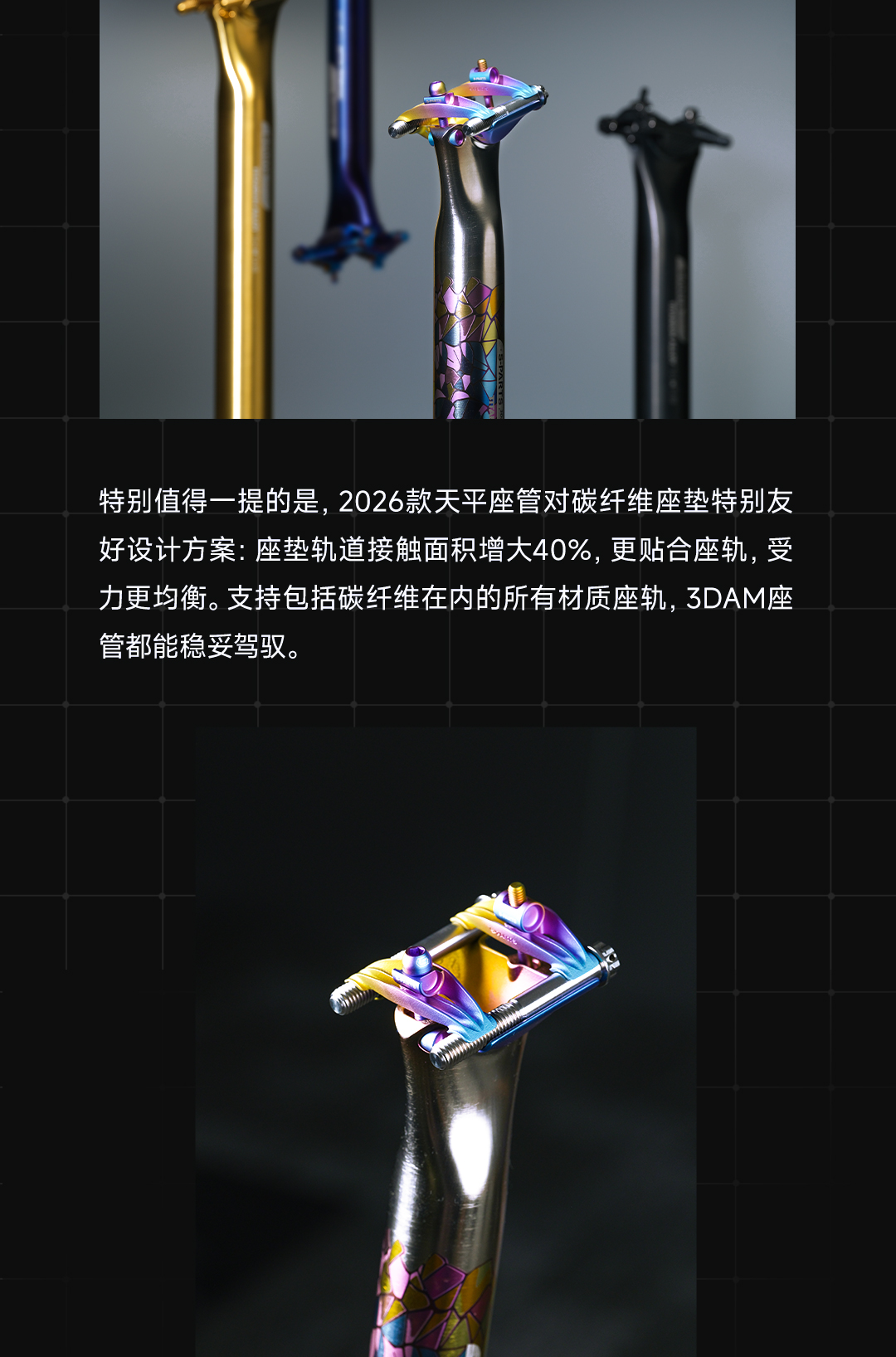 版式2_04.jpg