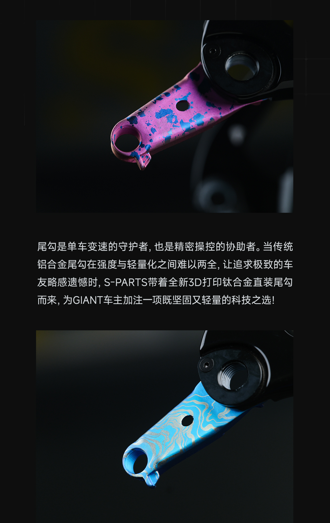 版式1_03.jpg