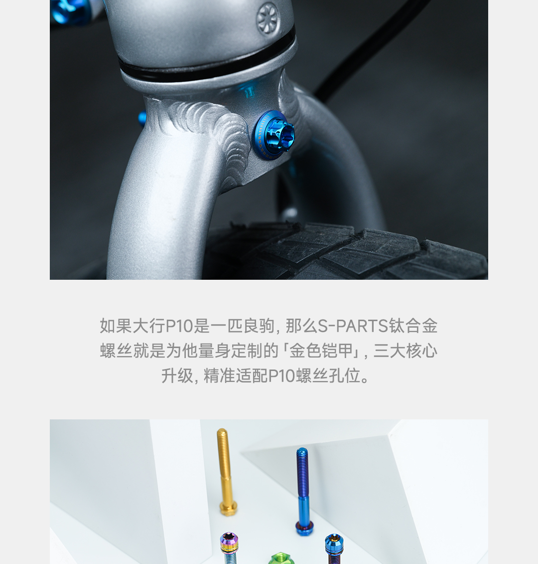 版式1_03.jpg