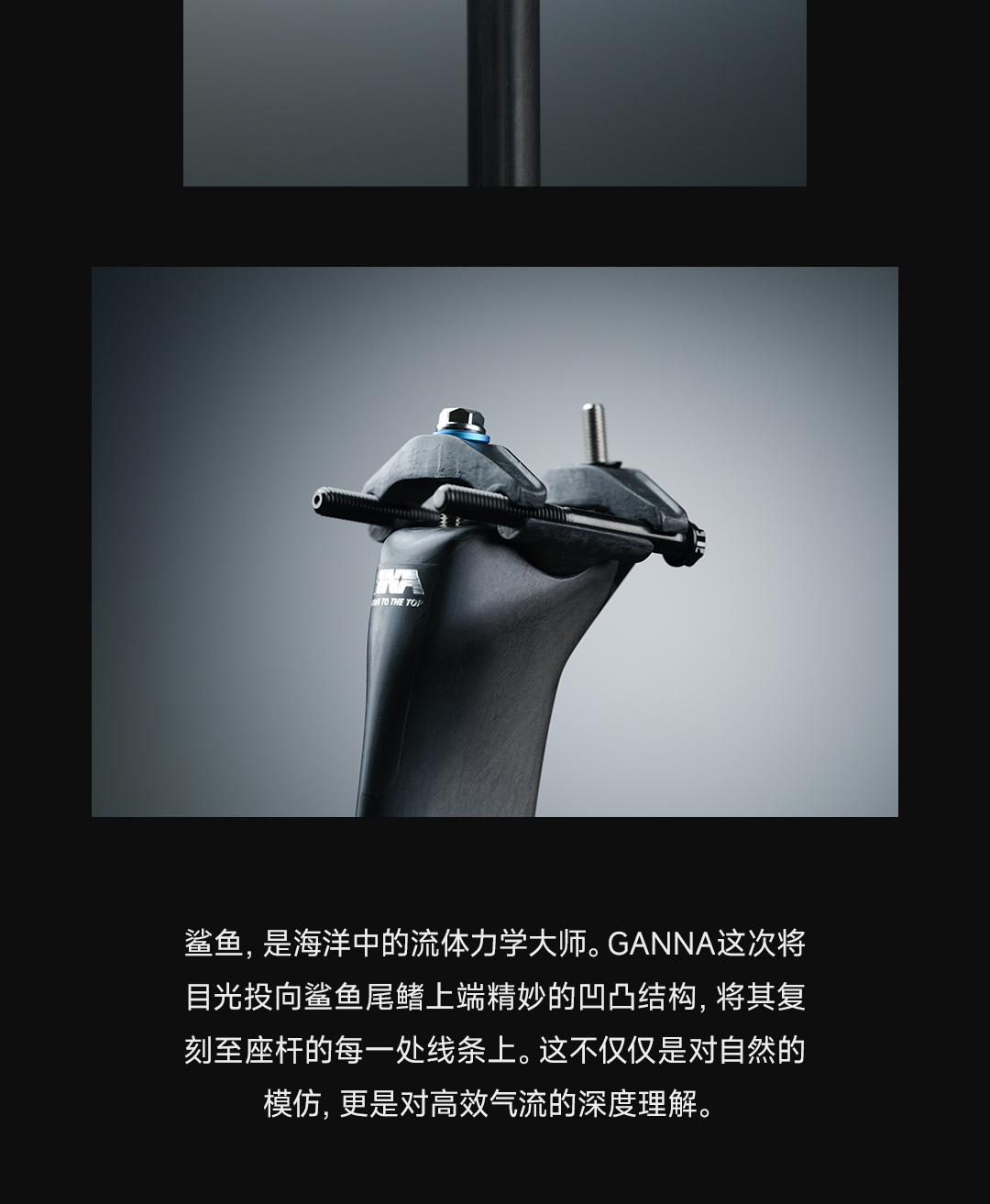 版式1_03.jpg
